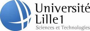University Lille, Interdisciplinary Research Institute, Lille (IRI)
