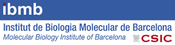 Molecular Biology Institute of Barcelona and Institute for Research in Biomedicine (IRB) Barcelona Science Park (IBMB-CSIC)