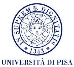 University of Pisa, Pisa (UNIPI)