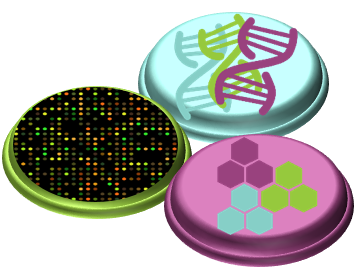 New Platforms for Molecular Solutions in Research and Development