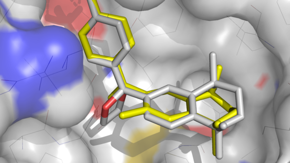 The InnoMol Molecular Interactions Workshop