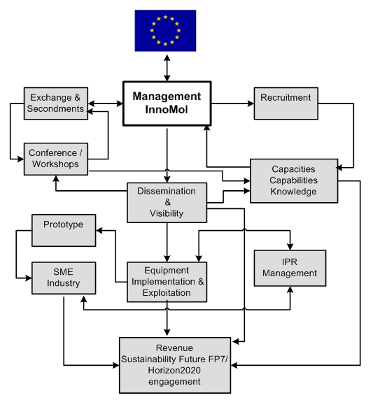 Organization_chart_1